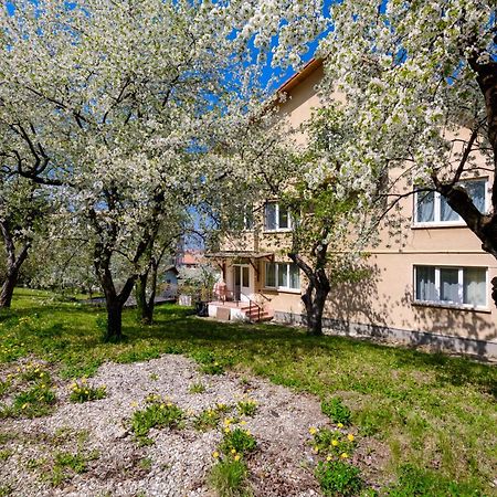 Casa Cu Cires Brasov Apartment Exterior photo