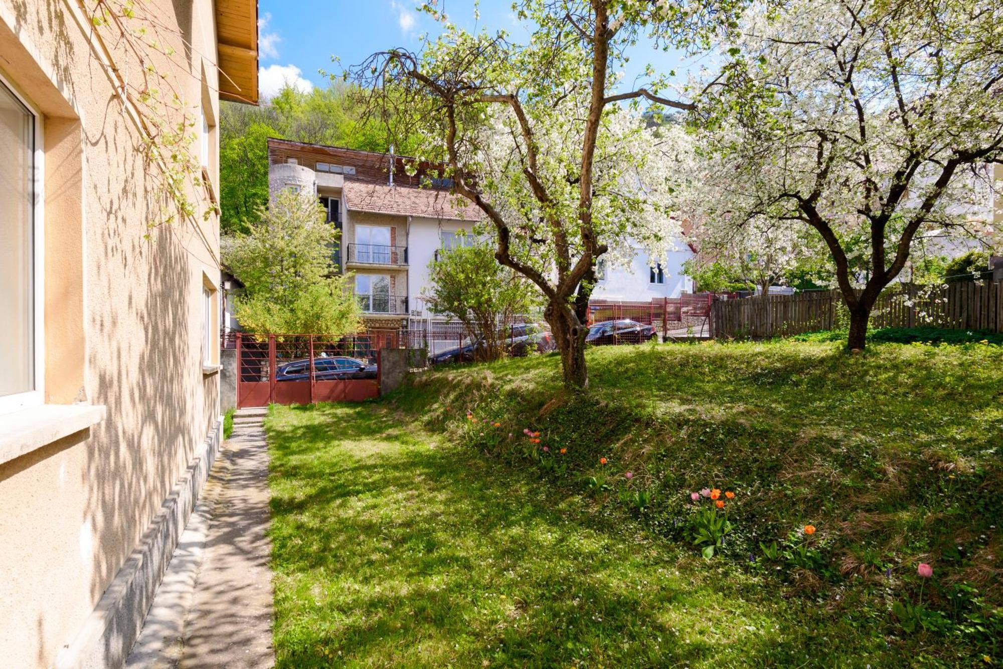 Casa Cu Cires Brasov Apartment Exterior photo